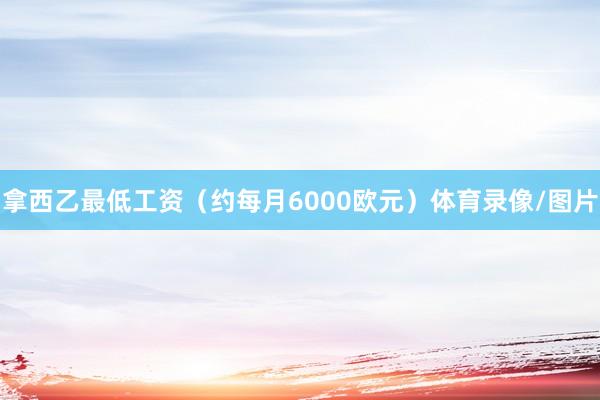 拿西乙最低工资（约每月6000欧元）体育录像/图片