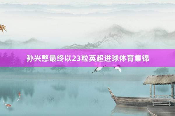 孙兴慜最终以23粒英超进球体育集锦
