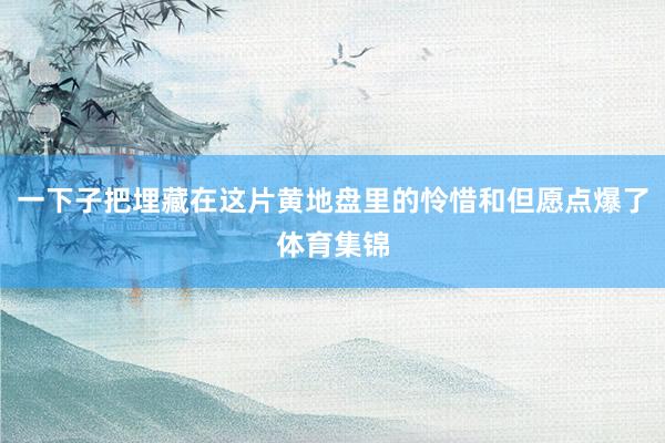 一下子把埋藏在这片黄地盘里的怜惜和但愿点爆了体育集锦