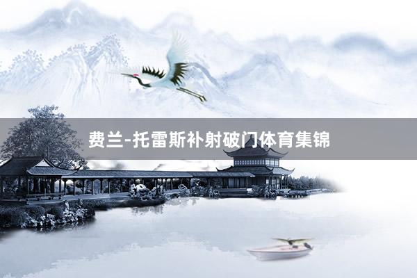 费兰-托雷斯补射破门体育集锦