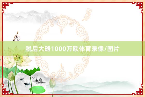 税后大略1000万欧体育录像/图片
