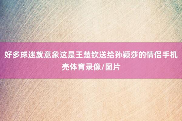 好多球迷就意象这是王楚钦送给孙颖莎的情侣手机壳体育录像/图片