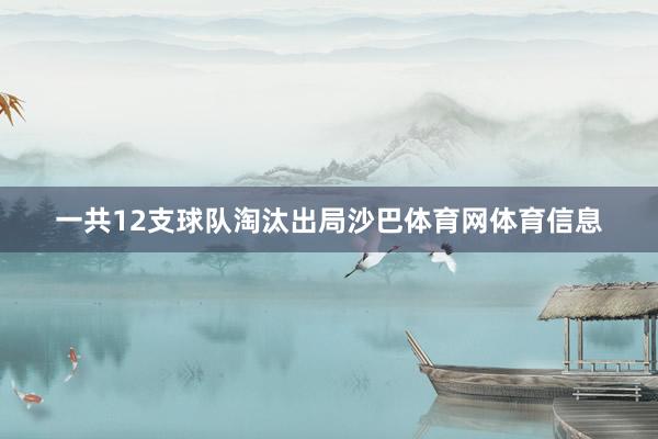 一共12支球队淘汰出局沙巴体育网体育信息