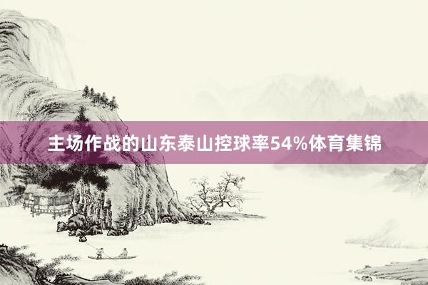 主场作战的山东泰山控球率54%体育集锦