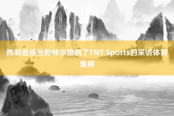 热刺进球元勋特尔接纳了TNT Sports的采访体育集锦