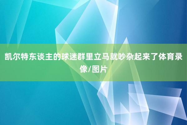 凯尔特东谈主的球迷群里立马就吵杂起来了体育录像/图片