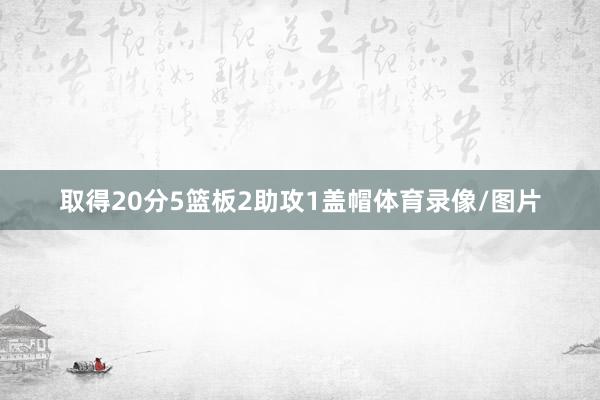 取得20分5篮板2助攻1盖帽体育录像/图片