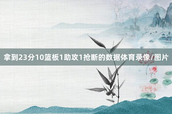 拿到23分10篮板1助攻1抢断的数据体育录像/图片
