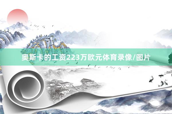 奥斯卡的工资223万欧元体育录像/图片