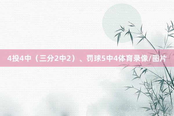 4投4中（三分2中2）、罚球5中4体育录像/图片
