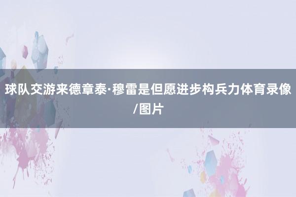 球队交游来德章泰·穆雷是但愿进步构兵力体育录像/图片