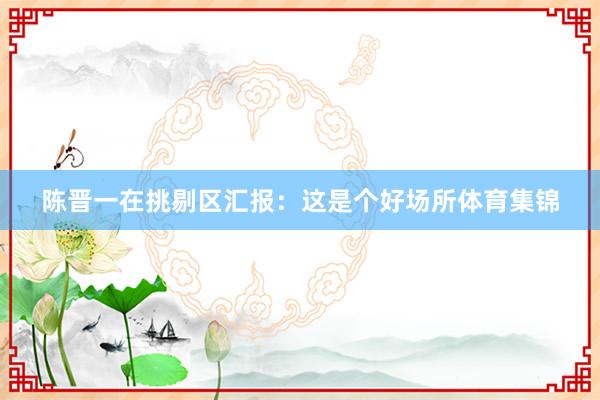 陈晋一在挑剔区汇报：这是个好场所体育集锦