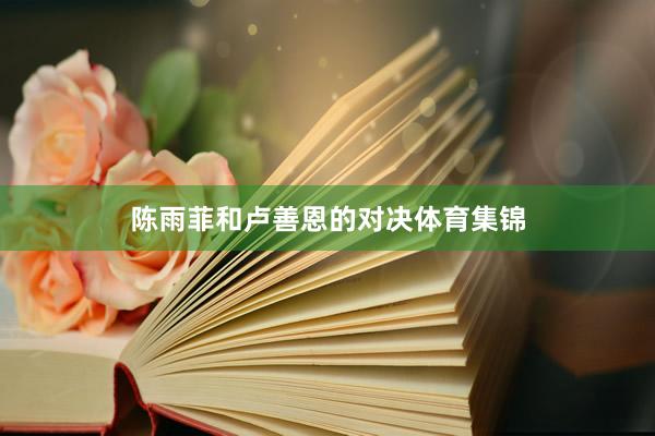 陈雨菲和卢善恩的对决体育集锦