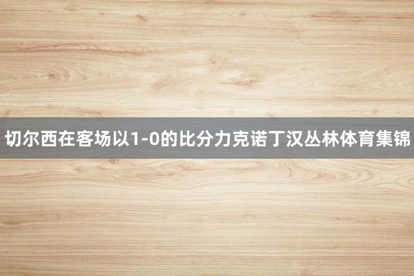 切尔西在客场以1-0的比分力克诺丁汉丛林体育集锦