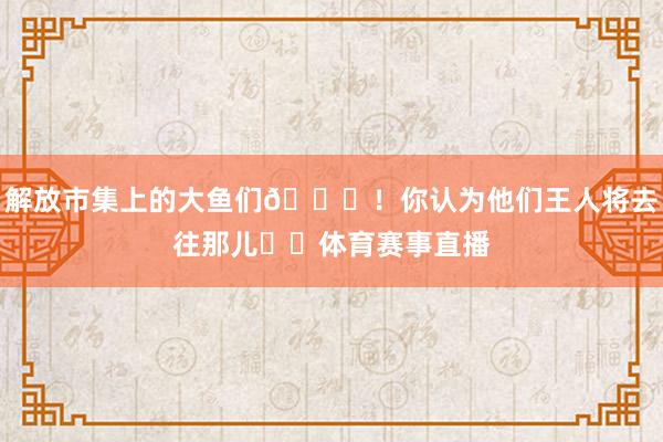解放市集上的大鱼们😍！你认为他们王人将去往那儿⁉️体育赛事直播