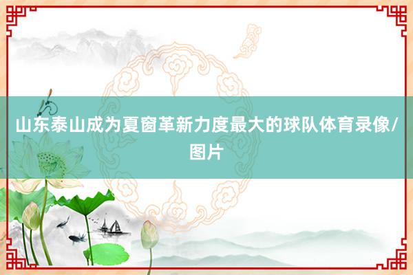 山东泰山成为夏窗革新力度最大的球队体育录像/图片