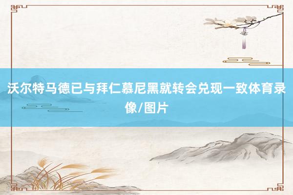 沃尔特马德已与拜仁慕尼黑就转会兑现一致体育录像/图片
