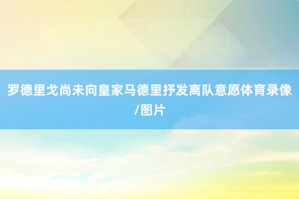 罗德里戈尚未向皇家马德里抒发离队意愿体育录像/图片