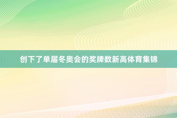 创下了单届冬奥会的奖牌数新高体育集锦