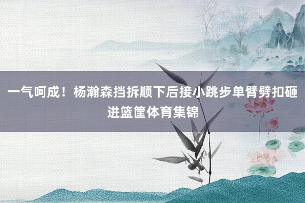 一气呵成！杨瀚森挡拆顺下后接小跳步单臂劈扣砸进篮筐体育集锦