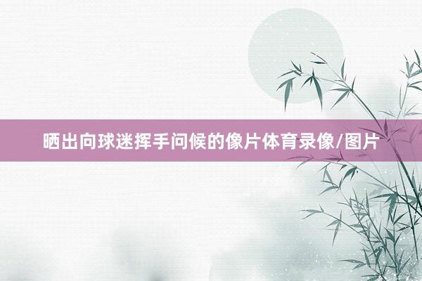 晒出向球迷挥手问候的像片体育录像/图片