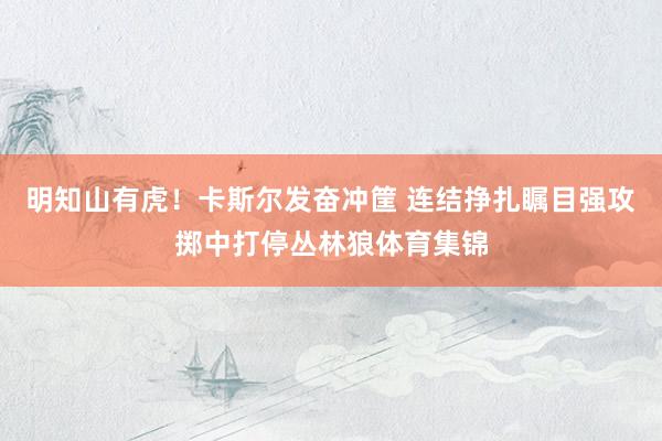 明知山有虎！卡斯尔发奋冲筐 连结挣扎瞩目强攻掷中打停丛林狼体育集锦