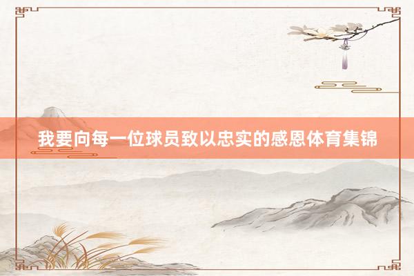 我要向每一位球员致以忠实的感恩体育集锦